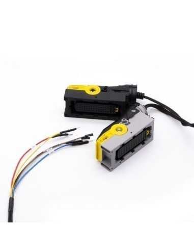 Cable de la ECU TRW_EMS2.x Master-Ecu - 1 - Master-Ecu