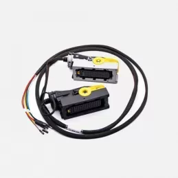 Cable de la ECU TRW_EMS2.x