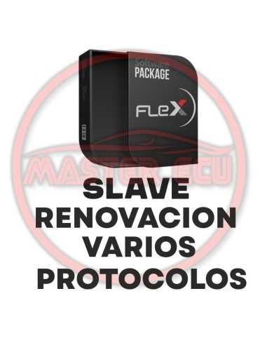 FLEX Slave Full – Offizielles Jahresabonnement MAGICMOTORSPORT MAGICMOTORSPORT - 1 - master-ecu