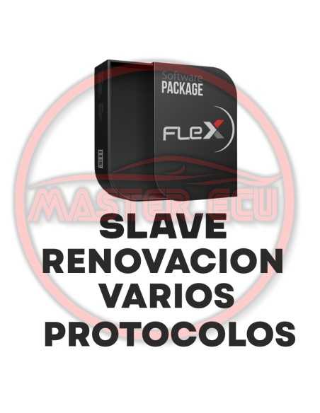 FLEX Slave Full – Offizielles Jahresabonnement MAGICMOTORSPORT MAGICMOTORSPORT - 1 - master-ecu