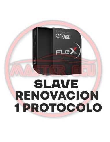FLEX Slave – Offizielles Jahresabonnement MAGICMOTORSPORT MAGICMOTORSPORT - 1 - master-ecu