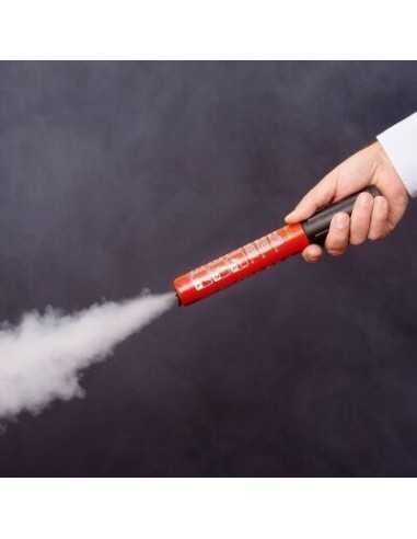 Kalium-Feuerlöscher 50 ASRT – tragbarer Flammenhemmer 50 Sekunden - 4 - master-ecu