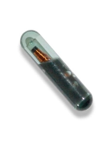 Originaler ID13-Transponder – AUTOVEI