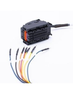 Cable FLEXBox a Magneti Marelli MM10J – Conexión Bench segura MAGICMOTORSPORT - 1 - Master-Ecu