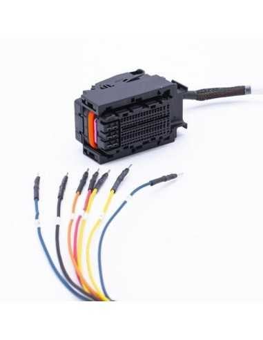 FLEXBox zu Magneti Marelli MM10J Kabel – Sichere Werkbankverbindung MAGICMOTORSPORT - 1 - master-ecu