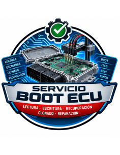 Lectura y modificación de ECU por BOOT | Servicio Master-Ecu