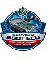 ECU auslesen und modifizieren über BOOT | Master-Ecu