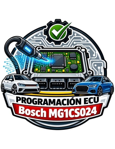 Bosch MG1CS024 Programmierung BMW Ineos Mini | LOCKED Service | Master-Ecu