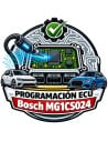 Bosch MG1CS024 Programmierung BMW Ineos Mini | LOCKED Service | Master-Ecu