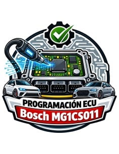 Bosch MG1CS011 Programmierung Audi Cupra Ford | LOCKED Service | Master-Ecu
