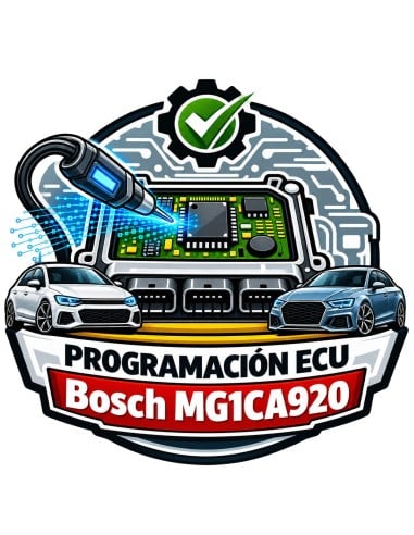 Bosch MG1CA920 Programmierung Can-Am Sea-Doo Ski-Doo | LOCKED Service | Master-Ecu
