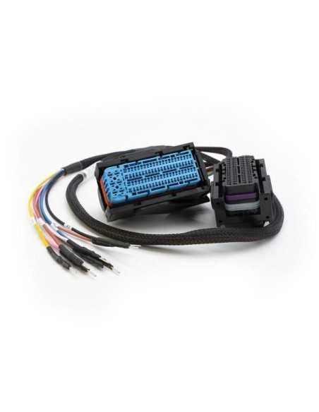 Verbindungskabel EDC17C49 – Bosch EDC17 (Werkbank/Kofferraum) MAGICMOTORSPORT - 2 - master-ecu