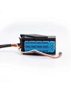 Cable de conexión Continental Simos 8.xx – Bench/Boot MAGICMOTORSPORT - 3 - Master-Ecu 2