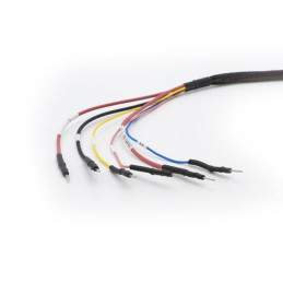 Connection cable: MB Bosch MDG1 MAGICMOTORSPORT - 3