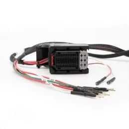 Cable de conexión: EDC16CP31 MAGICMOTORSPORT - 1