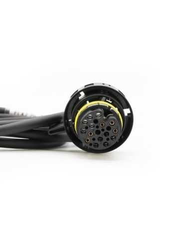 Câble FLEXBox port F vers ZF 8HP Type 2 - Connexion banc/soufflet MAGICMOTORSPORT - 1 - master-ecu